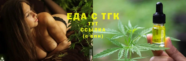 индика Абинск