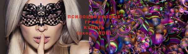 крисы Абдулино