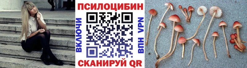 Галлюциногенные грибы GOLDEN TEACHER Лермонтов